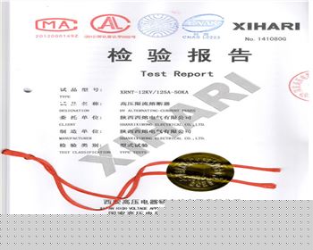 XRNT-12KV 125A-1
